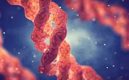 dna